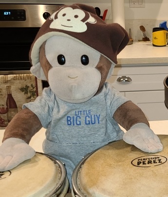 Monkey Playing Bongos